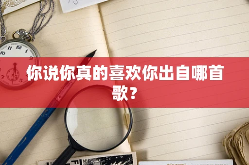 你说你真的喜欢你出自哪首歌？