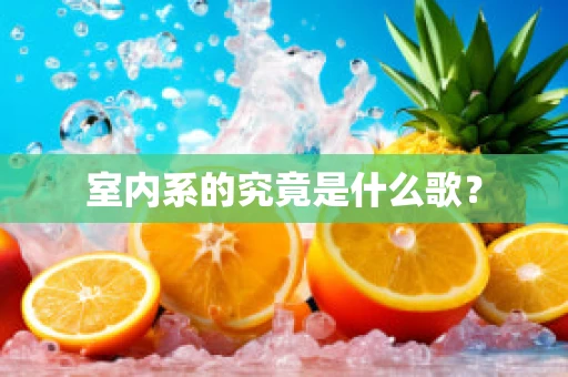 室内系的究竟是什么歌？