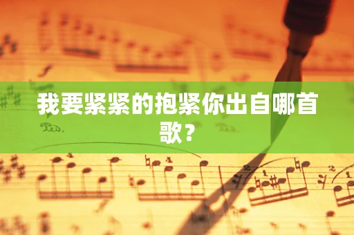 我要紧紧的抱紧你出自哪首歌？