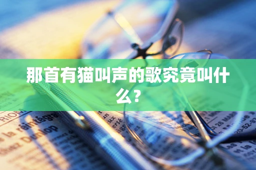 那首有猫叫声的歌究竟叫什么？
