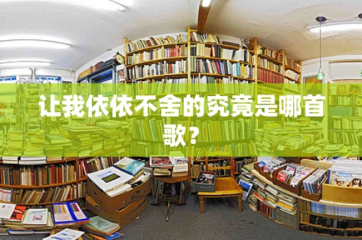 让我依依不舍的究竟是哪首歌？