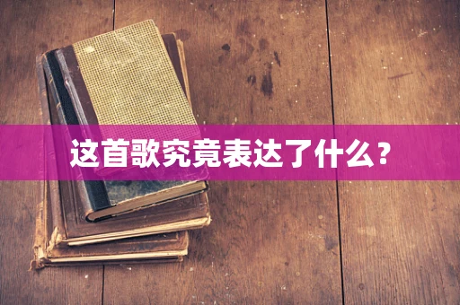 这首歌究竟表达了什么？