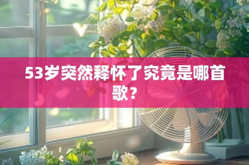 53岁突然释怀了究竟是哪首歌？