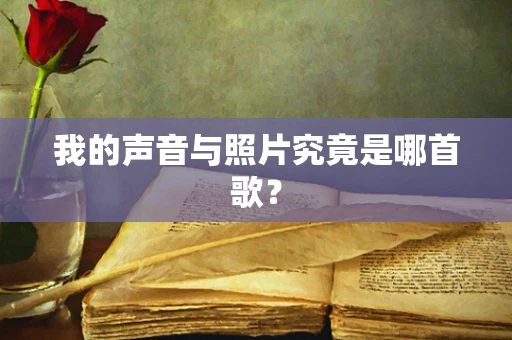 我的声音与照片究竟是哪首歌？