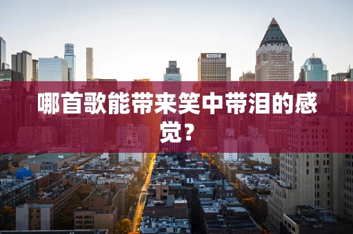 哪首歌能带来笑中带泪的感觉？