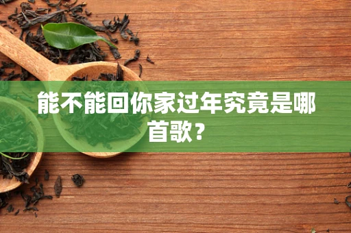 能不能回你家过年究竟是哪首歌？