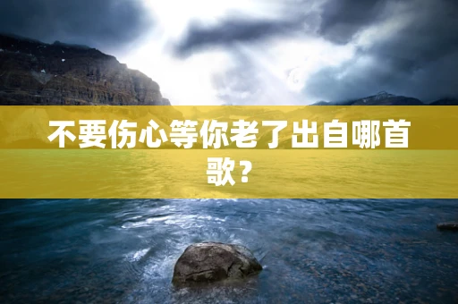 不要伤心等你老了出自哪首歌？