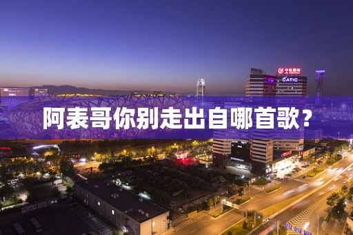 阿表哥你别走出自哪首歌？
