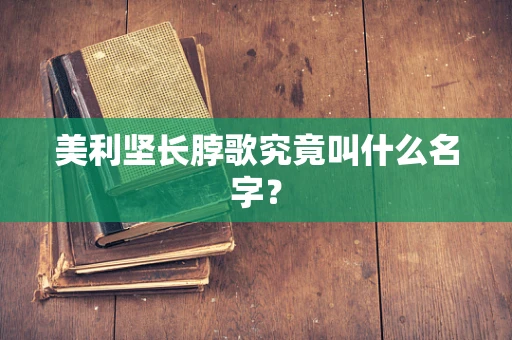 美利坚长脖歌究竟叫什么名字？