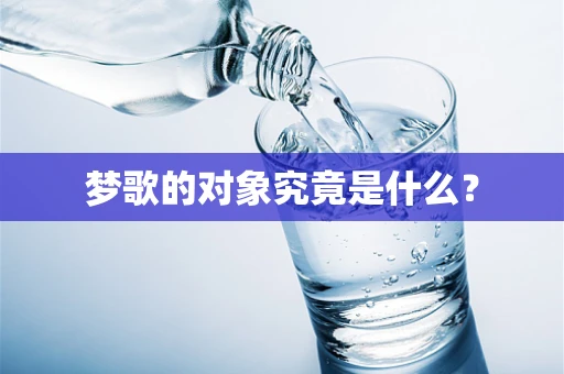 梦歌的对象究竟是什么？