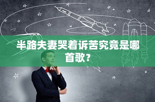 半路夫妻哭着诉苦究竟是哪首歌？
