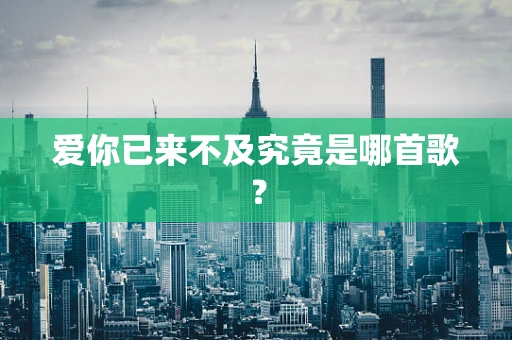 爱你已来不及究竟是哪首歌？