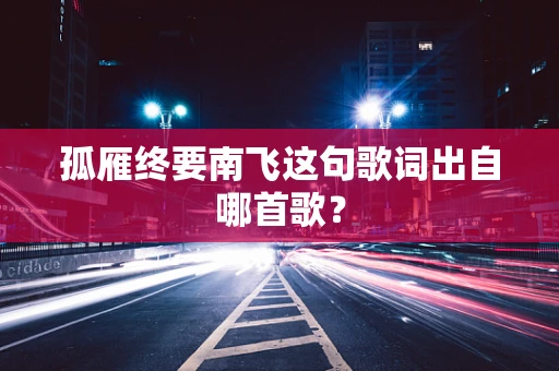 孤雁终要南飞这句歌词出自哪首歌？