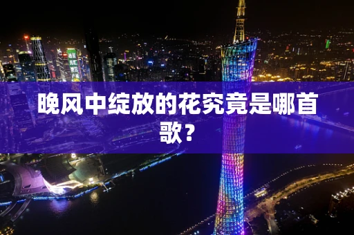 晚风中绽放的花究竟是哪首歌？