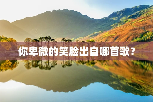 你卑微的笑脸出自哪首歌？