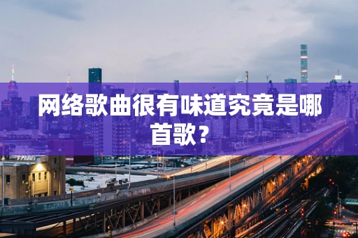 网络歌曲很有味道究竟是哪首歌？