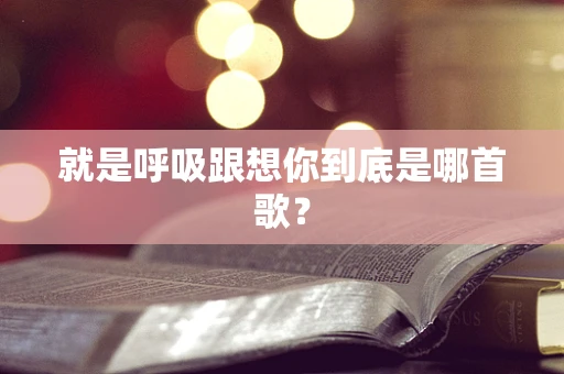 就是呼吸跟想你到底是哪首歌？