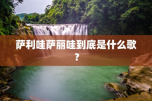 萨利哇萨丽哇到底是什么歌？