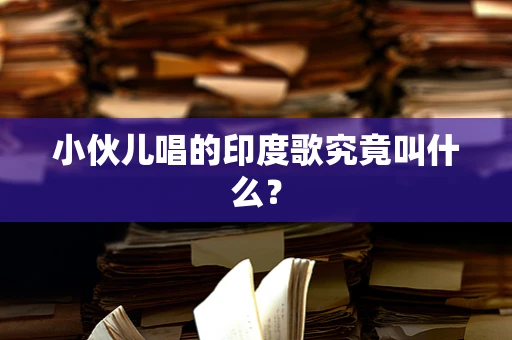 小伙儿唱的印度歌究竟叫什么？