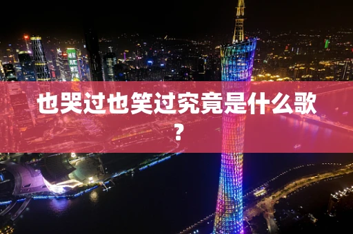 也哭过也笑过究竟是什么歌？