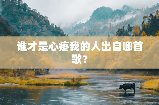 谁才是心疼我的人出自哪首歌？