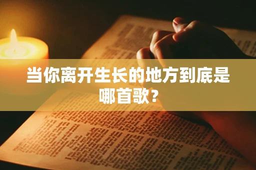 当你离开生长的地方到底是哪首歌？
