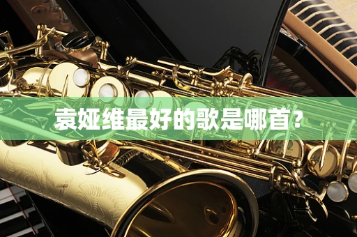 袁娅维最好的歌是哪首？