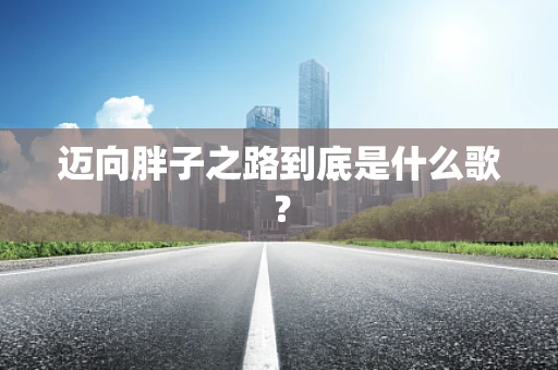 迈向胖子之路到底是什么歌？