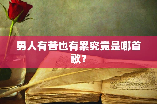 男人有苦也有累究竟是哪首歌？