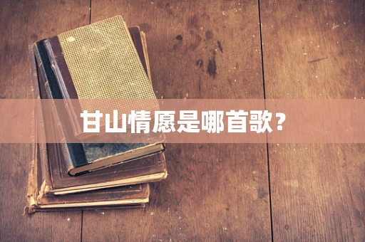 甘山情愿是哪首歌？