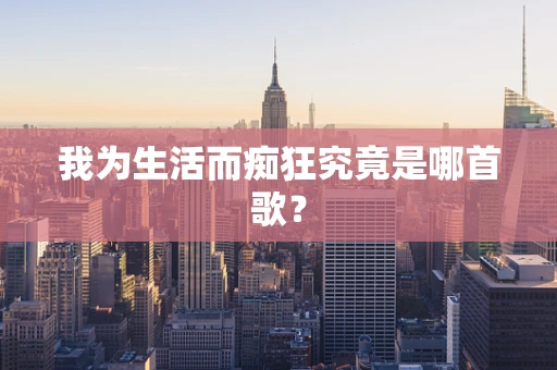 我为生活而痴狂究竟是哪首歌？