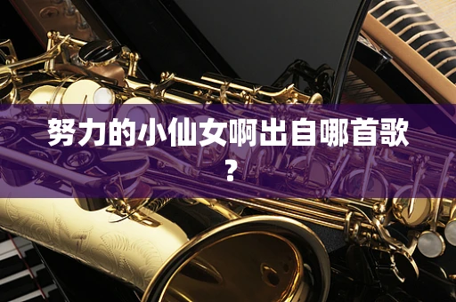 努力的小仙女啊出自哪首歌？