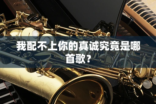 我配不上你的真诚究竟是哪首歌？