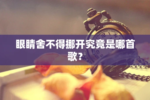 眼睛舍不得挪开究竟是哪首歌？