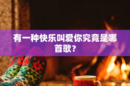 有一种快乐叫爱你究竟是哪首歌？