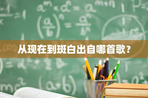 从现在到斑白出自哪首歌？