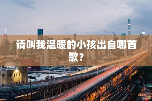 请叫我温暖的小孩出自哪首歌？