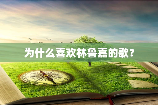 为什么喜欢林鲁嘉的歌？
