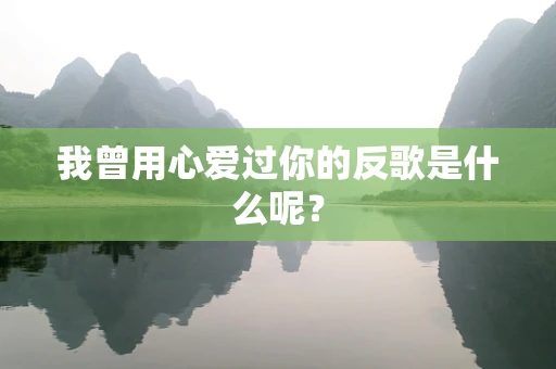 我曾用心爱过你的反歌是什么呢？