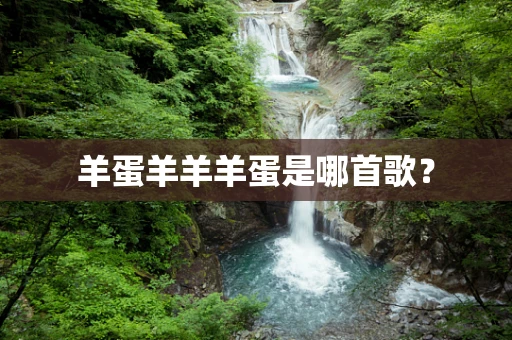 羊蛋羊羊羊蛋是哪首歌？