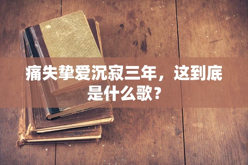 痛失挚爱沉寂三年，这到底是什么歌？