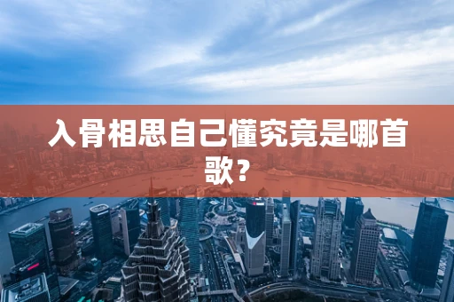 入骨相思自己懂究竟是哪首歌？
