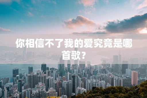 你相信不了我的爱究竟是哪首歌？