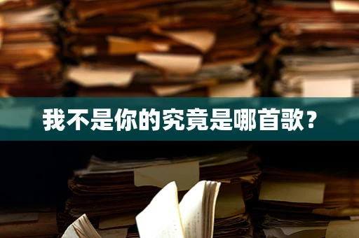 我不是你的究竟是哪首歌？