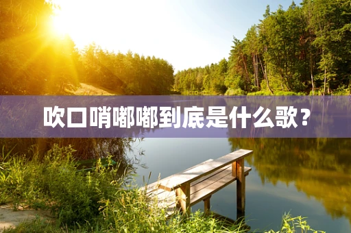 吹口哨嘟嘟到底是什么歌？