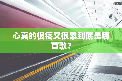 心真的很疼又很累到底是哪首歌？