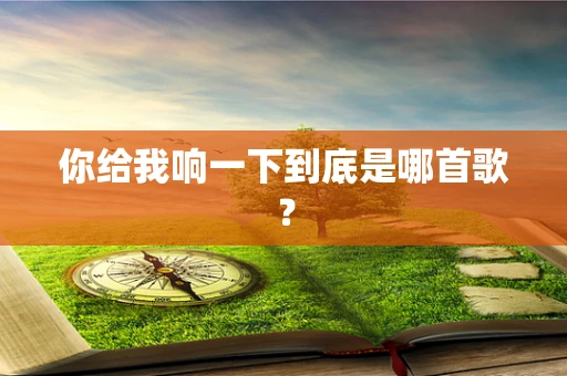 你给我响一下到底是哪首歌？