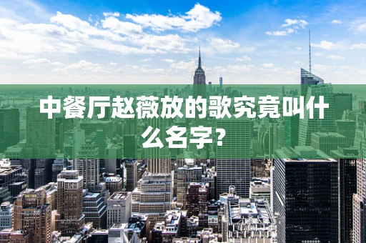 中餐厅赵薇放的歌究竟叫什么名字？