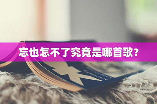 忘也怎不了究竟是哪首歌？