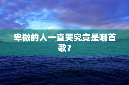 卑微的人一直哭究竟是哪首歌？